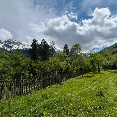 Xheni Oda ve Kahvaltı